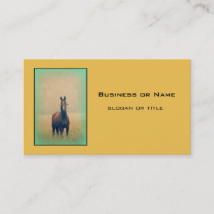 Carte De Visite Bay Horse Standing