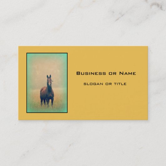 Carte De Visite Bay Horse Standing (Devant)