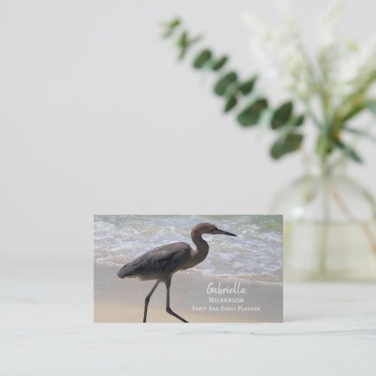 Carte De Visite Beach Bird (Debout devant)