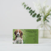 Carte de visite beagle pour animaux de compagnie a (Debout devant)