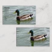 Carte De Visite Beau canard de Mallard (Devant / Derrière)