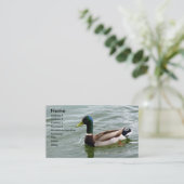 Carte De Visite Beau canard de Mallard (Debout devant)