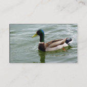 Carte De Visite Beau canard de Mallard (Dos)