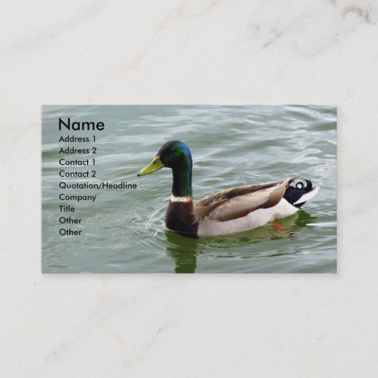 Carte De Visite Beau canard de Mallard (Devant)