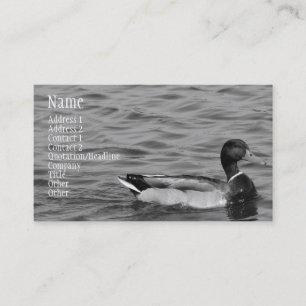 Carte De Visite Beau canard de Mallard