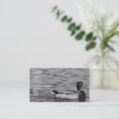 Carte De Visite Beau canard de Mallard (Debout devant)