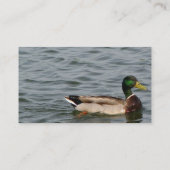 Carte De Visite Beau canard de Mallard (Dos)