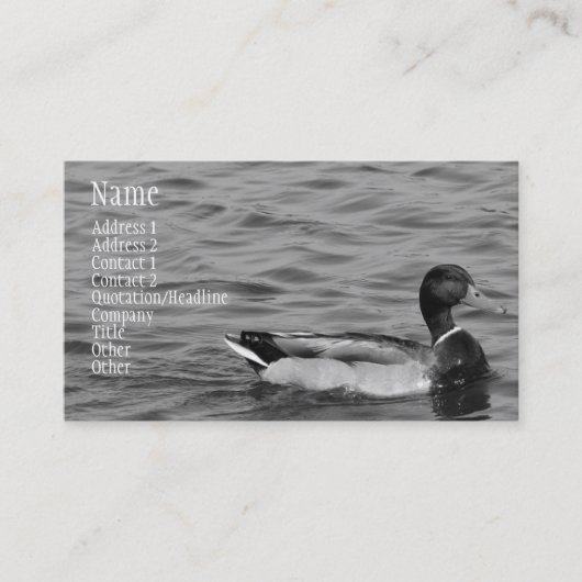 Carte De Visite Beau canard de Mallard (Devant)
