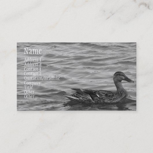 Carte De Visite Beau canard femelle de Mallard (Devant)