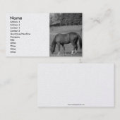 Carte De Visite Beau cheval (Devant / Derrière)