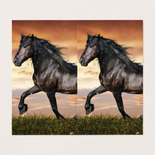 Carte De Visite Beau Cheval Noir (Extérieur déplié)