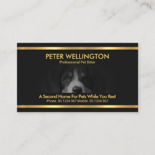 Carte De Visite Beau Dog Motif Gold Stripes Pet Sitter