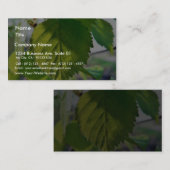 Carte De Visite Beau feuille de bouleau (Devant / Derrière)