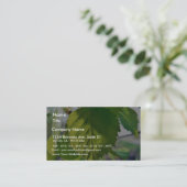 Carte De Visite Beau feuille de bouleau (Debout devant)