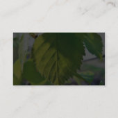 Carte De Visite Beau feuille de bouleau (Dos)