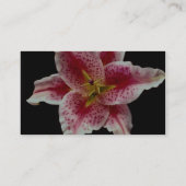 Carte De Visite Beau lis d'astronome (Dos)