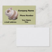 Carte De Visite Bébé Lapin (Devant / Derrière)
