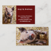 Carte De Visite Bébé mignon Animaux de la ferme des porcs Barnyard (Devant / Derrière)