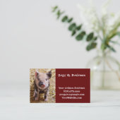 Carte De Visite Bébé mignon Animaux de la ferme des porcs Barnyard (Debout devant)