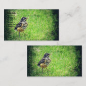 Carte De Visite Bébé Robin (Devant / Derrière)