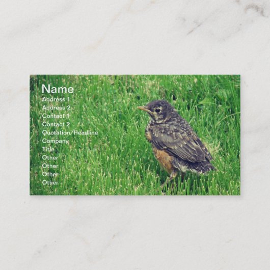 Carte De Visite Bébé Rouge-gorge (Devant)