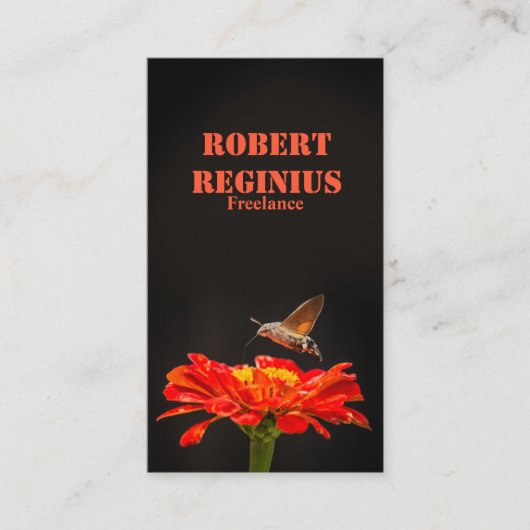 Carte De Visite Bécasseau à colibri (Devant)