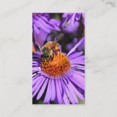 Carte De Visite Bee Aster Flower Nature Photographie (Dos)