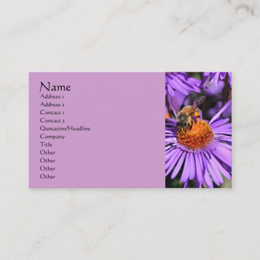 Carte De Visite Bee Aster Flower Nature Photographie (Devant)