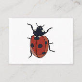Carte De Visite Beetles Insectes Ladybug Beetles (Devant)