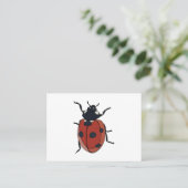 Carte De Visite Beetles Insectes Ladybug Beetles (Debout devant)