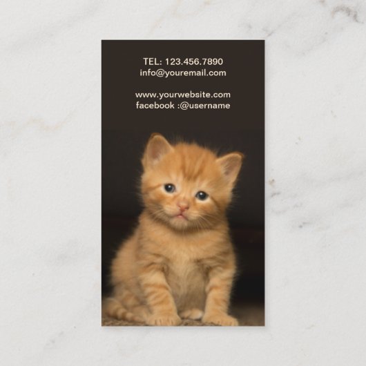 Carte De Visite Belle Chat (Dos)