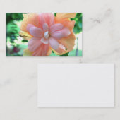 Carte De Visite Belle fleur d'Hibiscus jaune, orange et rose (Devant / Derrière)