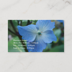 Carte De Visite belle fleur d'hortensia à grandes feuilles bleues