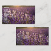 Carte De Visite Belle lavande (Devant / Derrière)