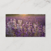 Carte De Visite Belle lavande (Dos)