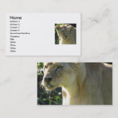 Carte De Visite Belle lionne (Devant / Derrière)