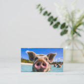 Carte De Visite Belle natation Cochon Exuma Bahamas (Debout devant)