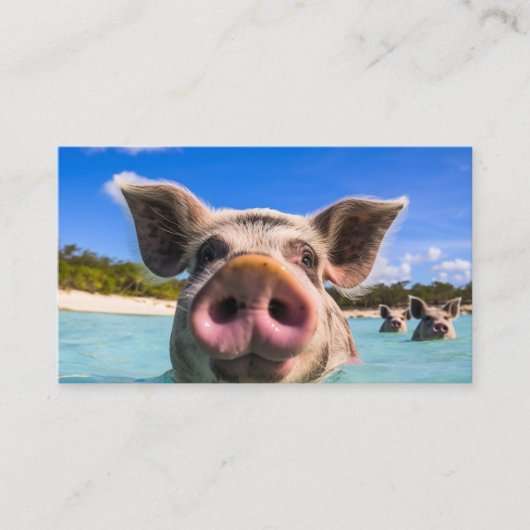 Carte De Visite Belle natation Cochon Exuma Bahamas (Devant)