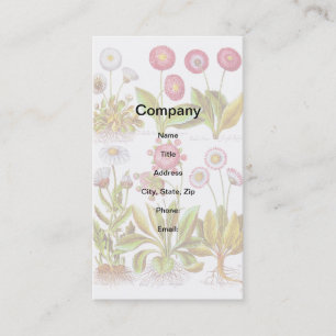Carte De Visite Belles dans le rose