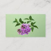 Carte De Visite Belles Lilacs (Dos)