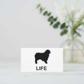 Carte De Visite berger australien (Debout devant)