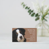 Carte de visite Bernese Mtn Dog - "Lucy" (Debout devant)