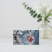 Carte De Visite Berry (Debout devant)