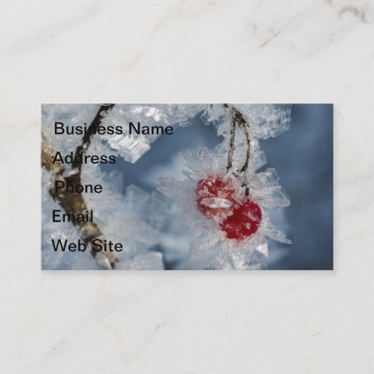 Carte De Visite Berry (Devant)
