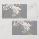 Carte De Visite Bétail de Hereford (Devant / Derrière)