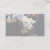 Carte De Visite Bétail de Hereford (Dos)