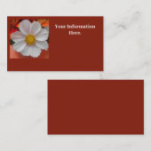 Carte De Visite Béthune (Devant / Derrière)