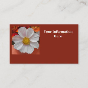 Carte De Visite Béthune