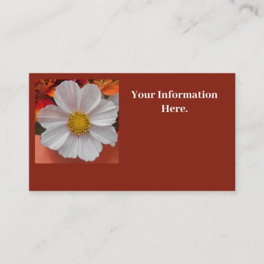 Carte De Visite Béthune (Devant)