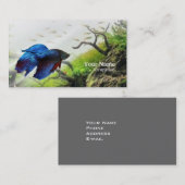 Carte De Visite Betta fish (Devant / Derrière)